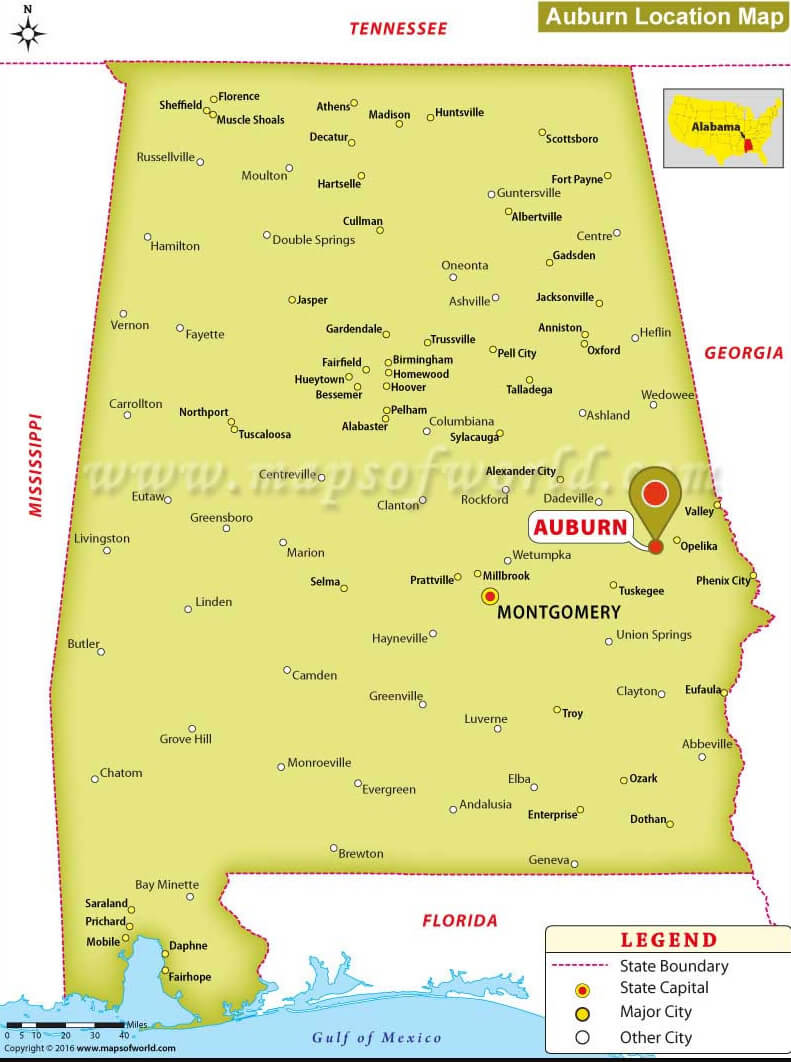 Auburn Alabama Plan et Image Satellite